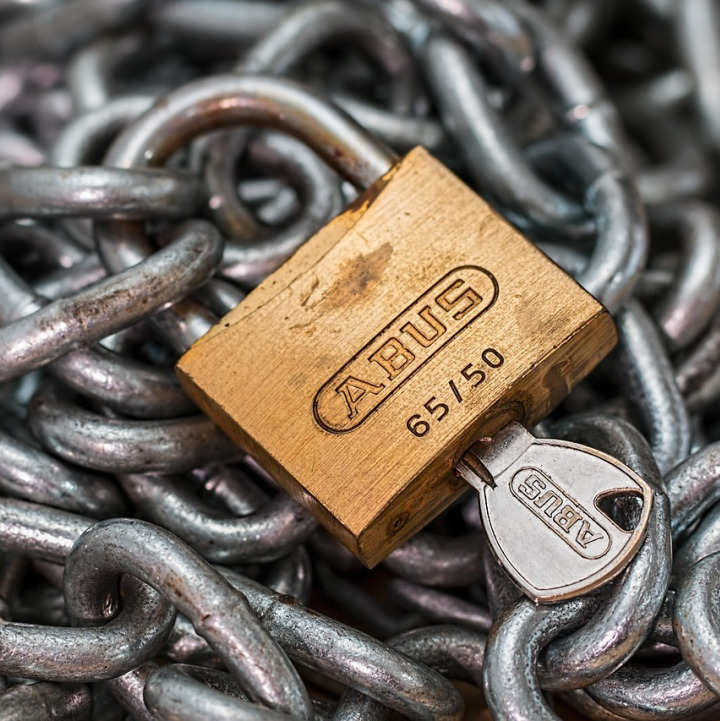 security shield lock